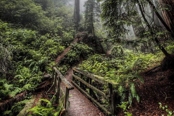 Private Assam Tea Estate, Rain Forest and River Island Tour - Pickup Information