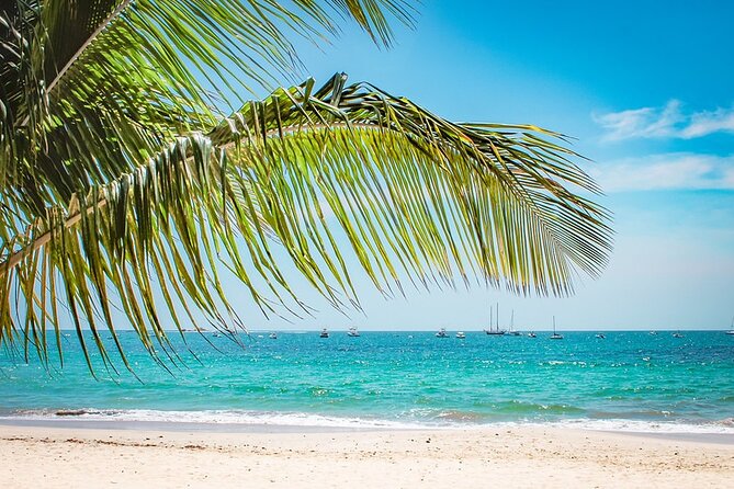 Private Beach Tour at Guanacaste Province - Cancellation Policy