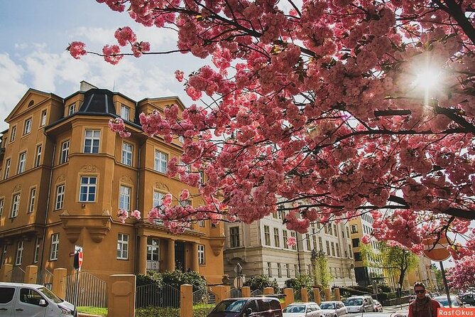 Private Berlin Coffee Tour With Friendly Local Guide - Booking Options