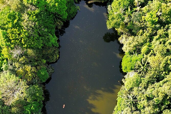 Private Bird Watching Experience in Los Chocuacos - Schedule and Accessibility