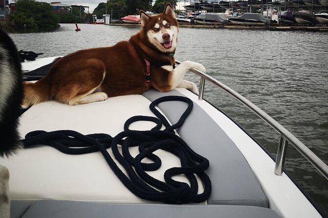 Private Boat Rental for 16 People - Included Amenities