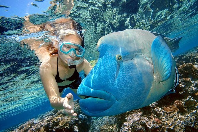 Private Boat Snorkeling Sea Trip With Sea Food Lunch and Transfer - Hurghada - Snorkeling Highlights
