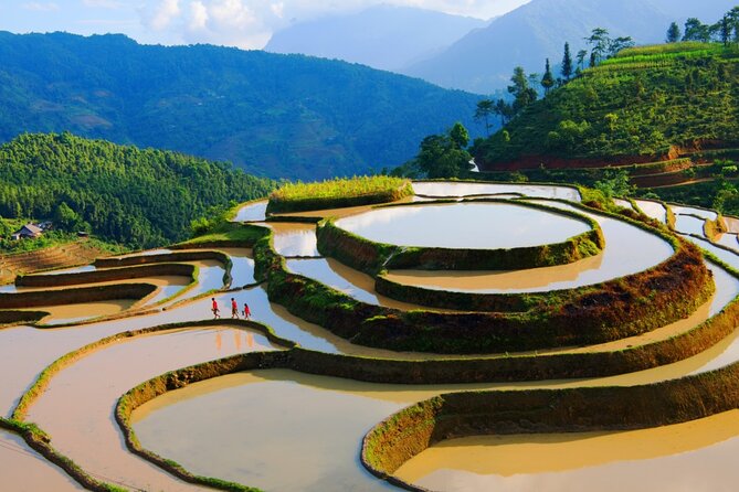 Private Car 2 Days 1 Night Hoang Su Phi in Hagiang - Pickup Logistics