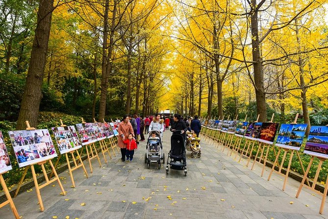 Private Chengdu Impression Day Tour Including Panda Base - Whats Included