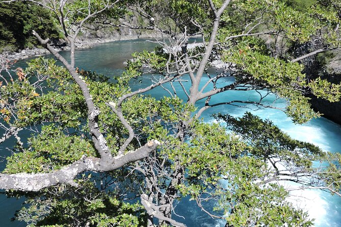 Private Circuit 7 Days of Excursions Los Lagos Region Chile - Pickup Information