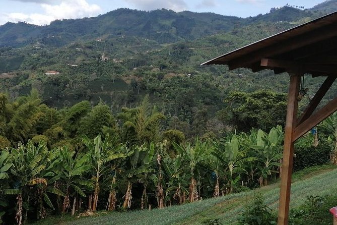 Private Coffee Tour in Jardín Antioquia. - Pricing Information
