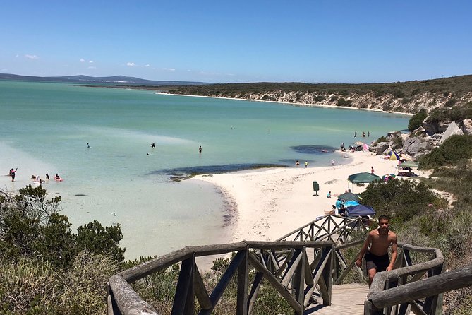 Private Day Tour Along the West Coast Around Cape Town - Participation and Accessibility