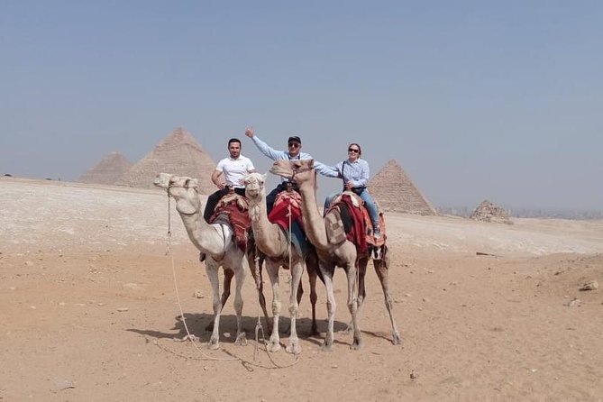 Private Day Tour: Giza Pyramids and Saqqara and Memphis - Operator Information