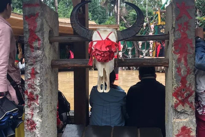 Private Day Tour in Kunming: Flower and Birds Market, Dianchi, Green Lake Etc. - Additional Information