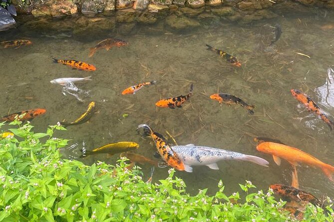Private Day Tour in Mindo - Overall Summary