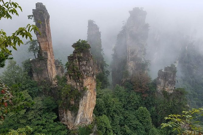 Private Day Tour Of Zhangjiajie National Forest Park With Lunch - Price and Booking