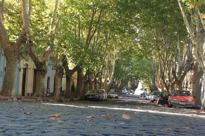 Private Day Tour to Colonia Del Sacramento From Montevideo - Frequently Asked Questions