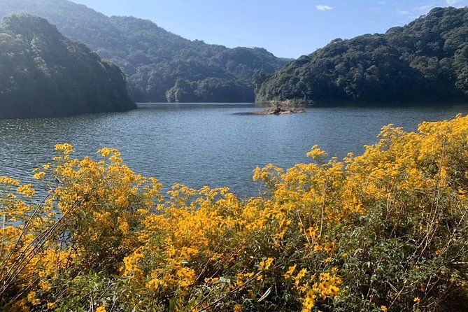 Private Day Tour to Shimen National Park From Guangzhou + Seasonal Fruit Pickup - Booking and Availability