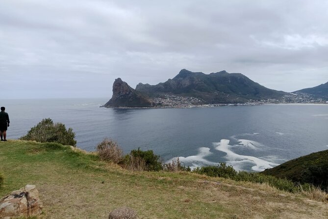 Private Day Tour to Table Mountain Cape of Good Hope and Penguin - Cape of Good Hope and Cape Point Visit
