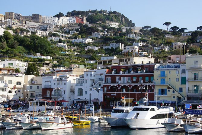 Private Day Trip From Rome to Capri With Personal Guide - Additional Information