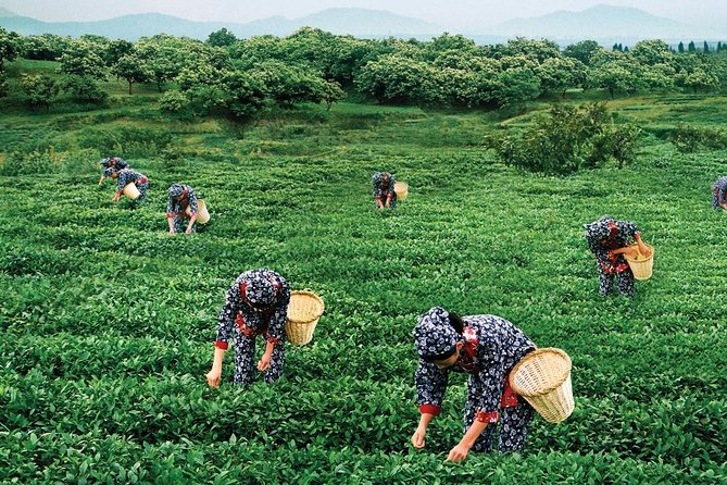 Private Day Trip From Xiamen to Anxi County in Quanzhou - Pickup Locations