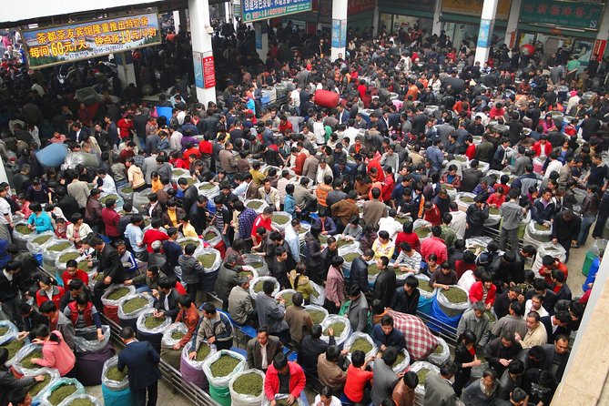 Private Day Trip to Anxi County in Quanzhou From Xiamen - Local Cuisine Experience