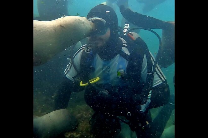 Private Diving Experience With Sea Lions in Punta Loma - Frequently Asked Questions