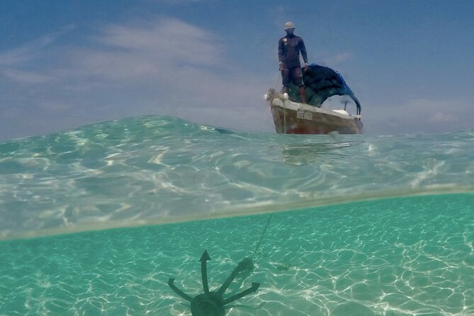 Private Dolphin Watching Experience in Zanzibar - Accessibility Information