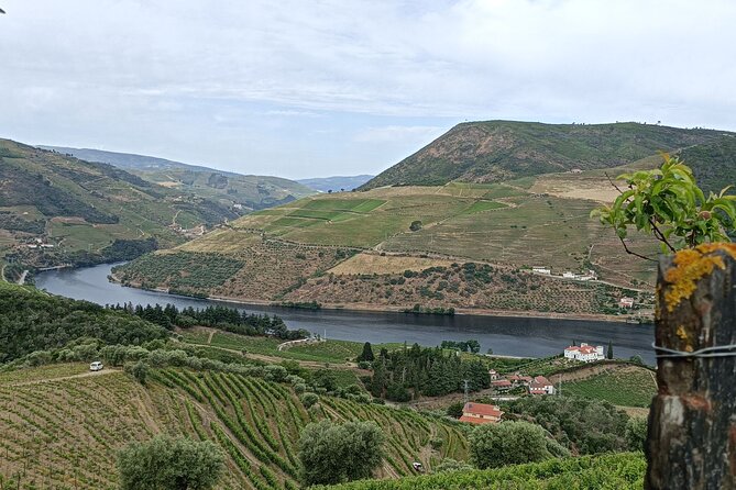 Private Douro Wine Tour - Booking Process