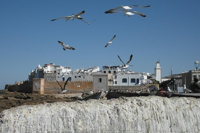 Private Essaouira Day Trip From Marrakech - Experience Details