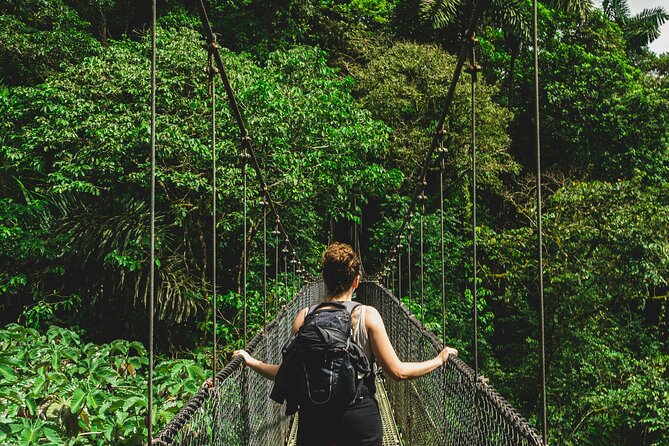 Private Expedition on Mistico Park Arenal Hanging Bridges - Meeting Point Details