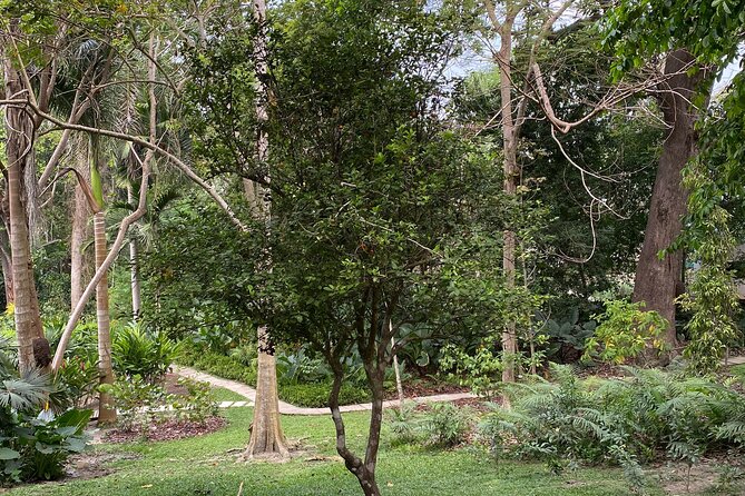 Private Experience in the Botanical Garden With Transportation Included - Health and Accessibility Guidelines