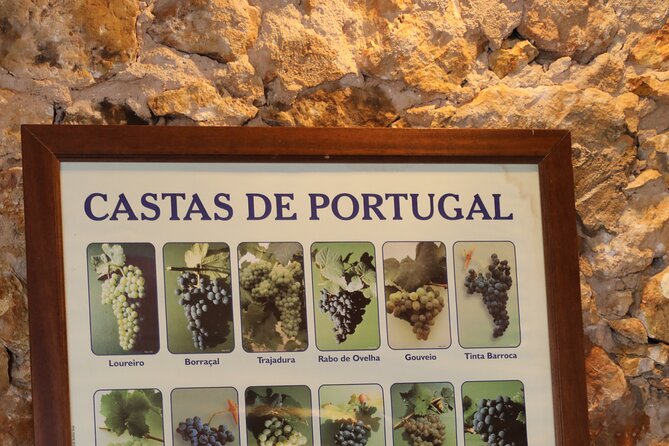Private Fado Night Show With Wine and Food in Quinta Do Outeiro - Transportation Options