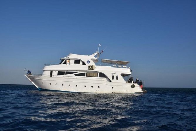 Private Fishing Trip Morning – Hurghada - Pickup and Return Details