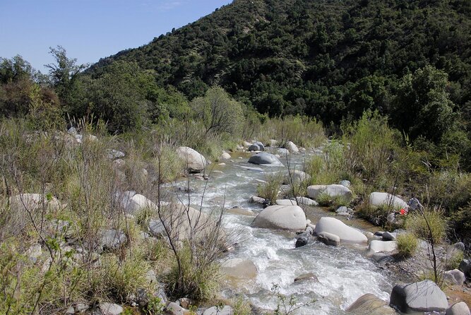 Private Full Day La Campana Hill Trekking Tour From Santiago - Pickup and Transportation