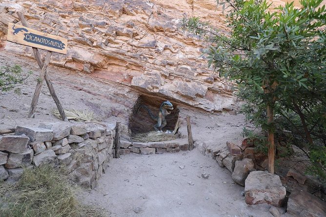 Private Full Day: Majes, Toro Muerto and Dinosaur Footprints. From Arequipa - Booking