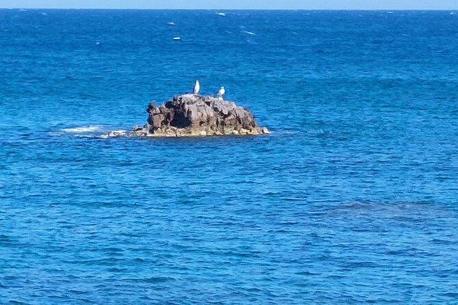 Private Full Day Palaiochora Beach and Winery Tour - Meeting and End Points