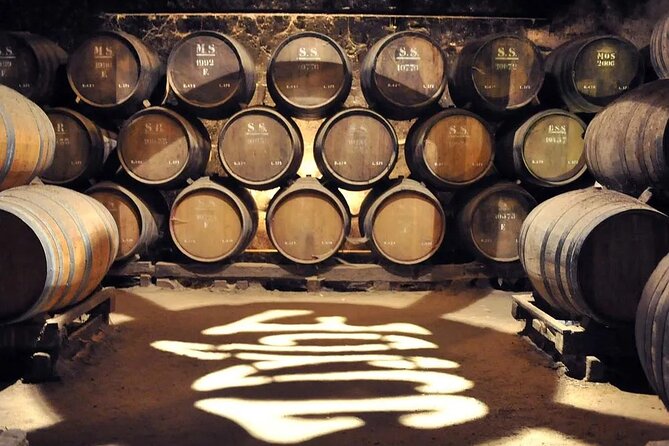 Private Full Day Setubal & Arrabida Wine Tour With Lunch - Lisbon - What to Expect