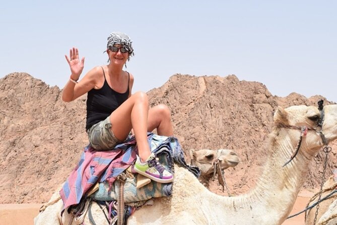 Private Full Day Snorkeling, Camel Ride With Lunch In Dahab From Sharm El Sheikh - Booking Information