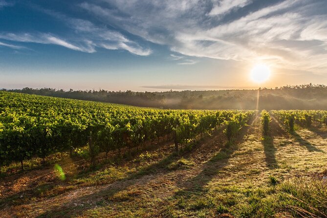 Private Full Day Surf and Wine From Santiago