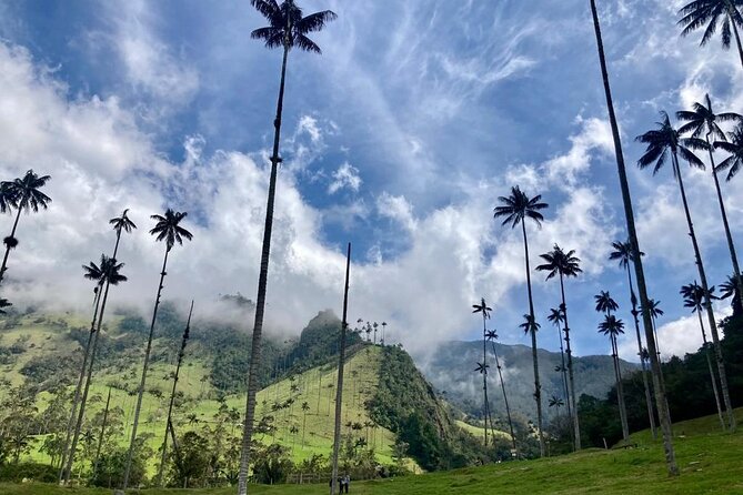 Private Full Day Tour in Cocora Valley and Coffee Farm - Pricing Details