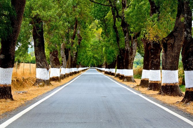 Private Full Day Tour - Marvao and Ammaia Roman Ruins From Lisbon - Additional Information