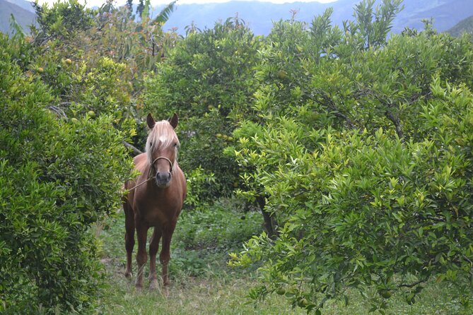 Private Full Day Tour of the Hidden Route Near Quito - Frequently Asked Questions