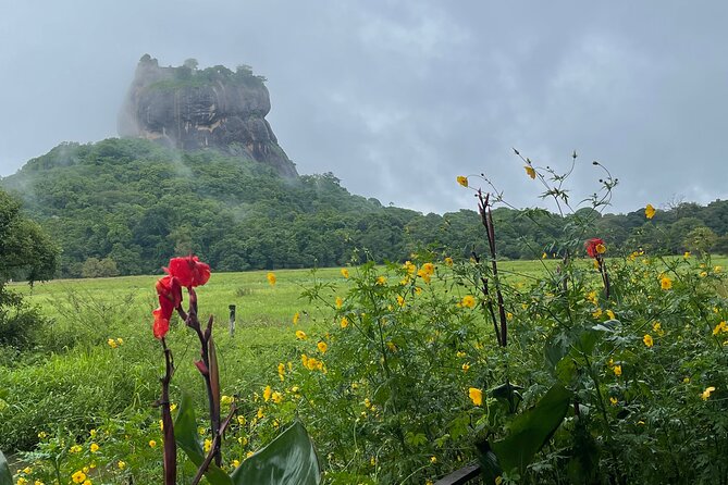Private Full Day Tour Sigiriya and Dambulla From Kandy - Price and Lowest Price Guarantee