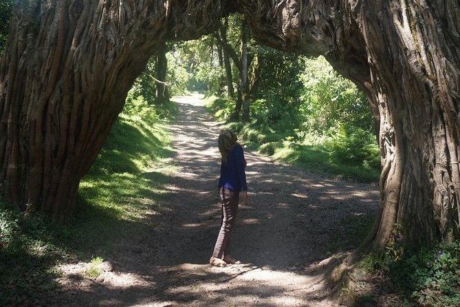 Private Full-Day Trekking Adventure in Arusha National Park - Meeting and Pickup Options
