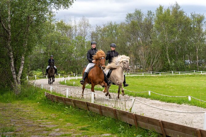 Private Golden Circle Tour in Iceland With Tomato Farm Lunch - Pickup Details