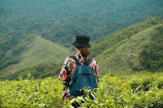 Private Guided Tour: a Spring Day in Dong Giang From Da Nang - Pricing Details