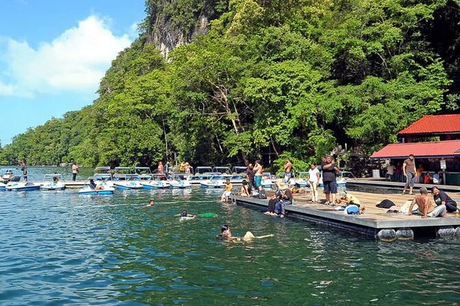 Private Guided Tour and Eagle Watching in Southern Island Geopark