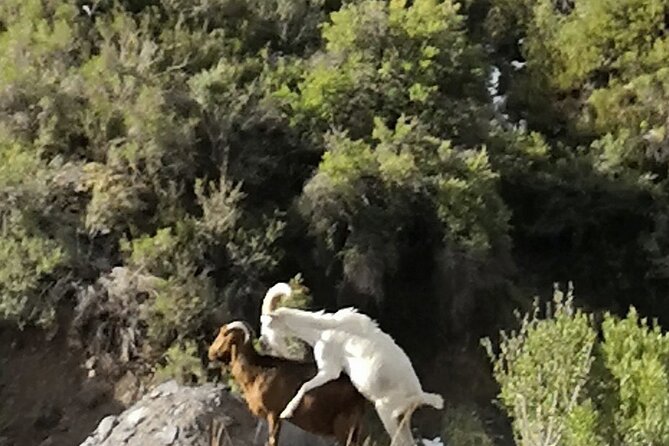 Private Guided Tour in Maipo Canyon With Winery - Directions