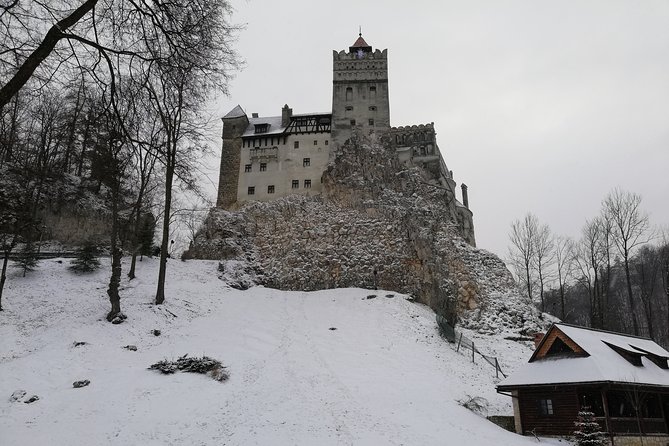 Private Guided Tour of Peles Palace and Bran Castle From Bucharest - Inclusions