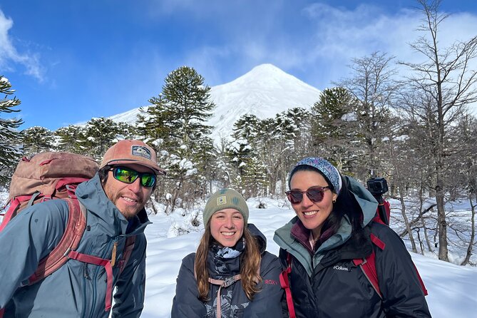 Private Half Day Andean Lakes Experience With Pickup - The Sum Up