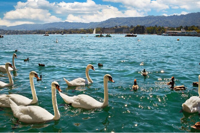Private Half Day in Zurich With Cable Car - Pricing Information