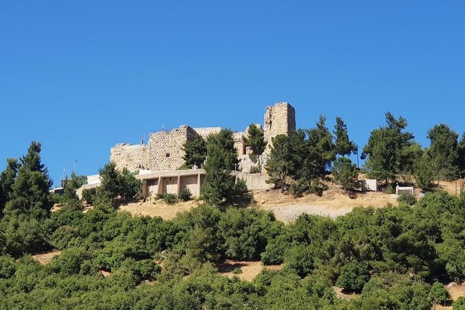 Private Half-Day Jerash And Ajloun From Dead Sea - Cancellation Policy