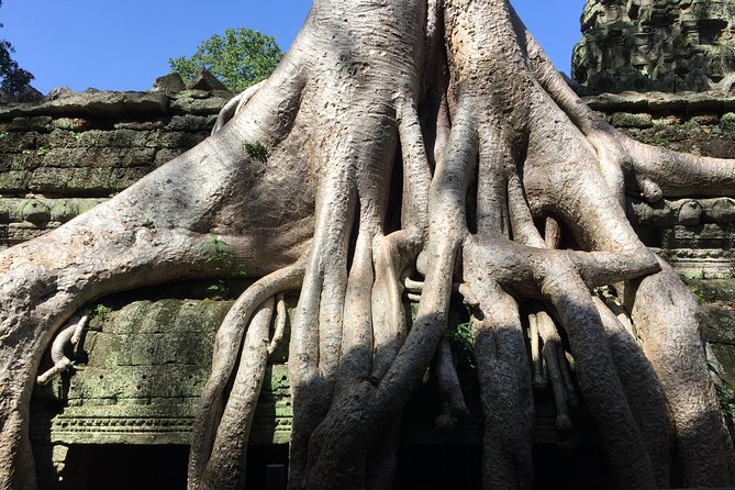 Private Half Day To Jungle Temple-Taprohm & Banteay Kdei Temples - Tour Highlights