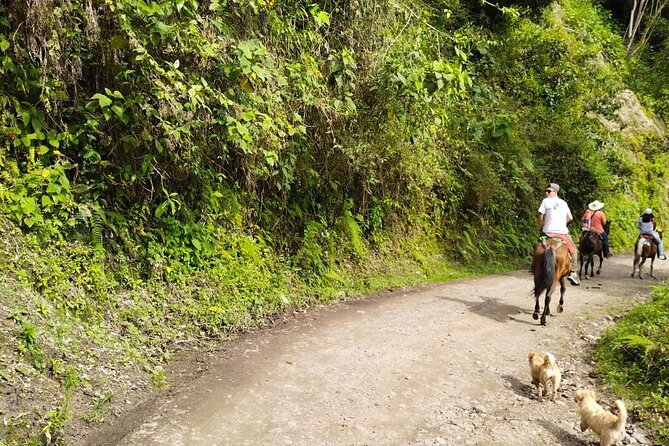 Private Half-DAY Tour Combeima Canyon Hike - Inclusions